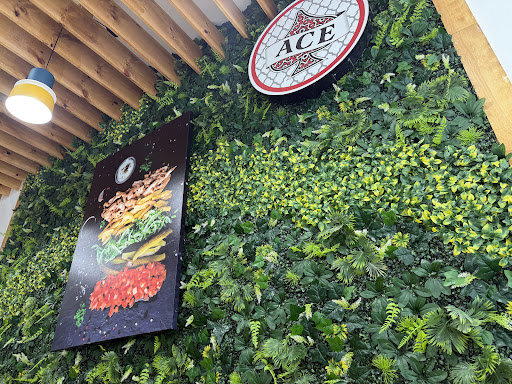 Photo of Ace Shawarma & Burgers - 3455 Jerome Ave, Bronx, NY 10467