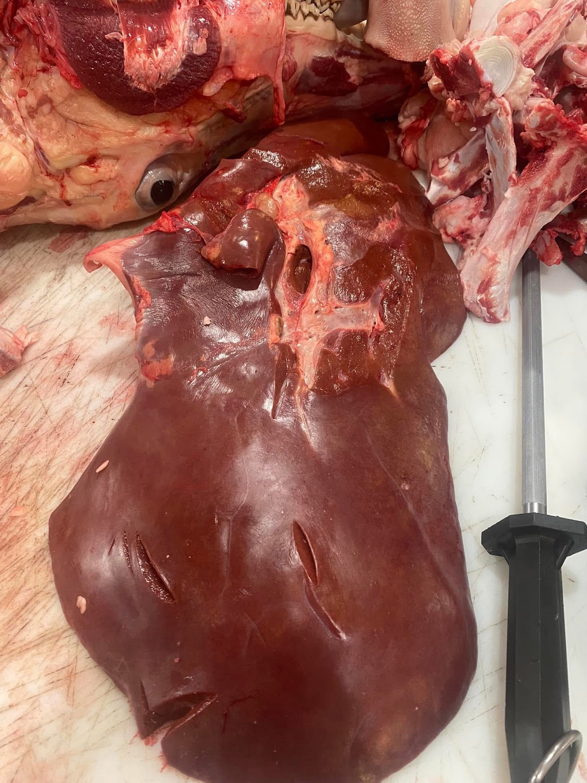 Photo of King's Falafel( الجزاره العربيه Arabic grocery - 775 Bergen Ave, Jersey City, NJ 07306