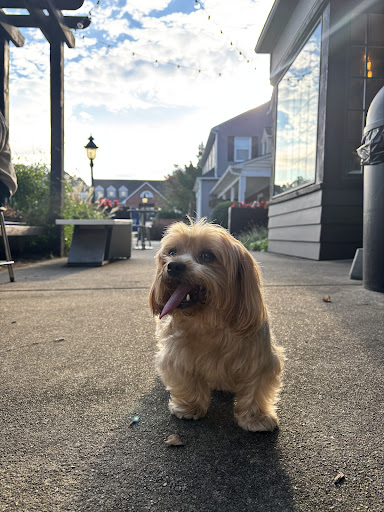 Photo of 313 Cafe - 807 By Pass 123 #16, Seneca, SC 29678