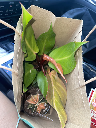 Photo of Marble City Market Food Hall & Bar - 333 W Depot Ave Suite 110, Knoxville, TN 37917