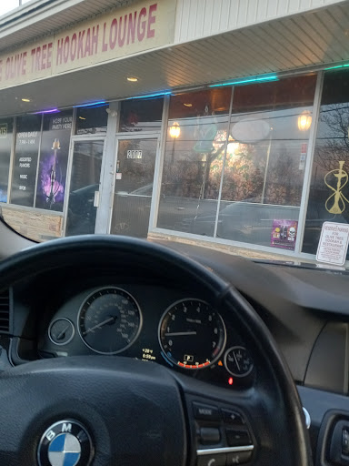 Photo of Olive Tree - 2009 Bridgeport Ave, Milford, CT 06460