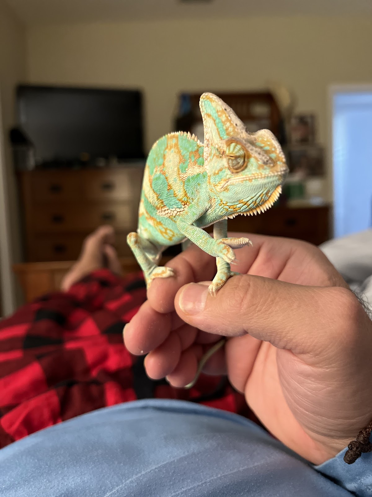 Photo of Delicious Arabian Food - 12417 SW 124th Terrace, Miami, FL 33186