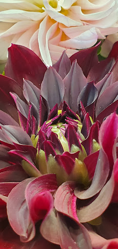 Photo of Whole Foods Market - 2 Somerset St, Portland, ME 04101