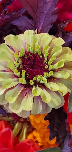 Photo of Whole Foods Market - 2 Somerset St, Portland, ME 04101