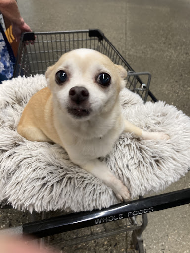 Photo of Whole Foods Market - 2 Somerset St, Portland, ME 04101