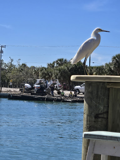 Photo of Pelican Alley Restaurant - 1009 Albee Rd W, Nokomis, FL 34275