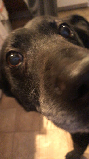 Photo of Sams Gyros - 4400 Sergeant Rd #206, Sioux City, IA 51106