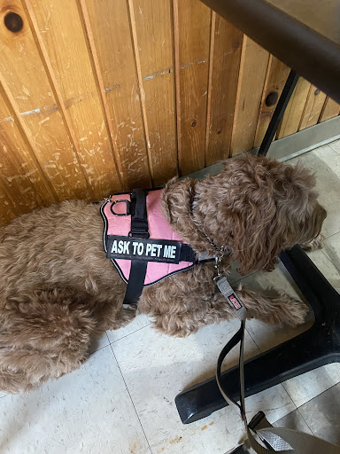 Photo of Eat Greek and More - 2384 Mechanicsburg Rd, Springfield, OH 45503