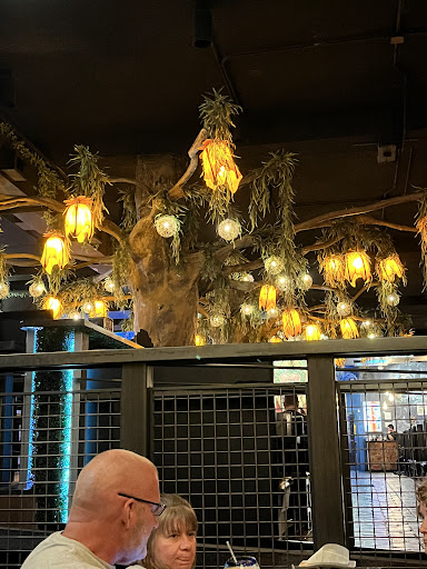 Photo of Viva La Fiesta - 42 N Fountain Ave, Springfield, OH 45502