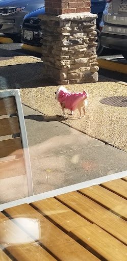 Photo of Moby Dick House of Kabob - 7116 Old Keene Mill Rd, Springfield, VA 22150