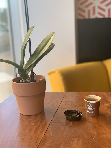 Photo of Grand Mediterranean - 519 N Grand Blvd, St. Louis, MO 63103