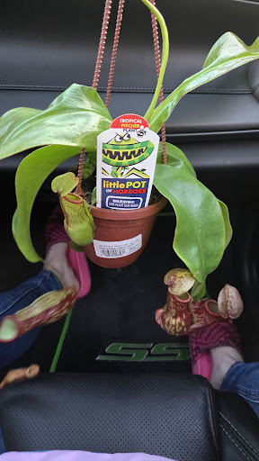 Photo of Ingles Markets Inc. - 722 Sullivan Rd, Statesville, NC 28677