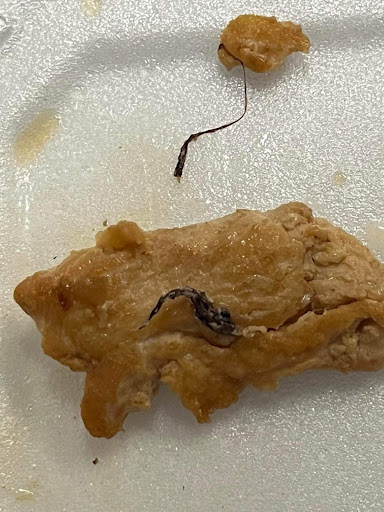 Photo of Sakura Japanese Staunton - 839 Greenville Ave, Staunton, VA 24401