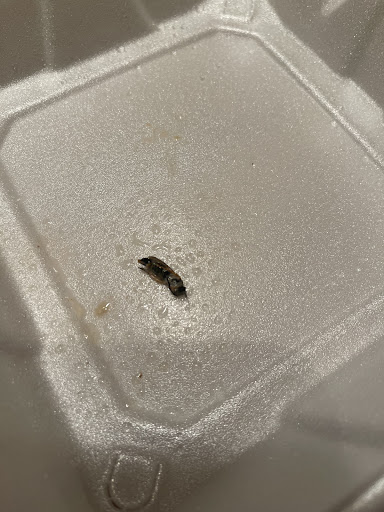 Photo of Sakura Japanese Staunton - 839 Greenville Ave, Staunton, VA 24401