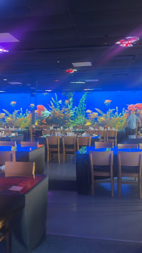 Photo of The Halal Steakhouse - 2020 Army Trail Rd, Hanover Park, IL 60133