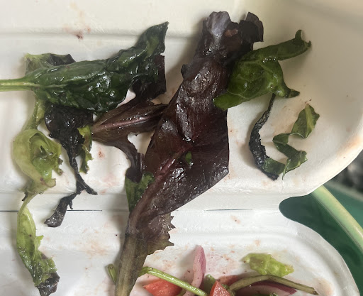 Photo of The Mediterranean Joint | Quality Mediterranean Restaurant - 600 Williamson St, Madison, WI 53703