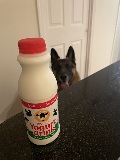 Photo of Hamada kabob حمادة مشاوي - 11124 N 30th St, Tampa, FL 33612