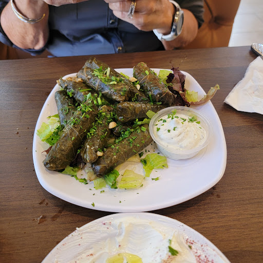 Photo of Jerusalem Grill & Deli - 1050 Bloomingdale Ave, Valrico, FL 33596