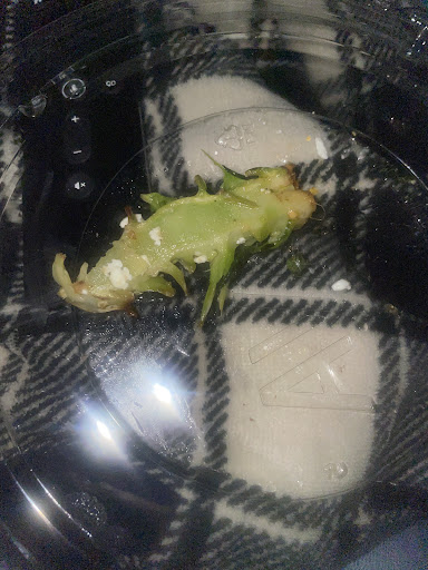 Photo of CAVA - 3105 14th St NW, Washington, DC 20010