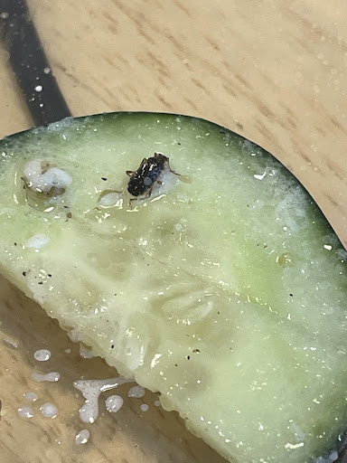 Photo of Pita's Republic - 210 E Madison St, Tampa, FL 33602