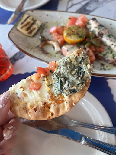 Photo of Acropolis Greek Taverna - Tarpon Springs - 514 Dodecanese Blvd, Tarpon Springs, FL 34689