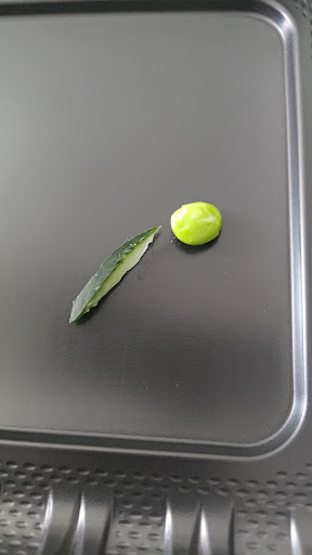 Photo of Fish Bowl Kitchen - 2882 Palm Harbor Blvd, Palm Harbor, FL 34683