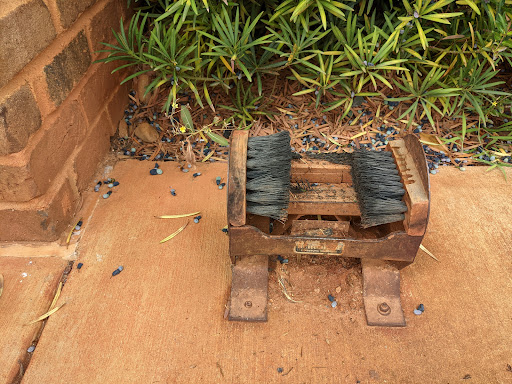 Photo of Lil Rebel Family Restaurant - 2608 Locust Hill Rd, Taylors, SC 29687