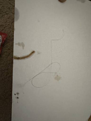 Photo of BGF (Bloody Good Food) - 2508 E 131st Ave, Tampa, FL 33612