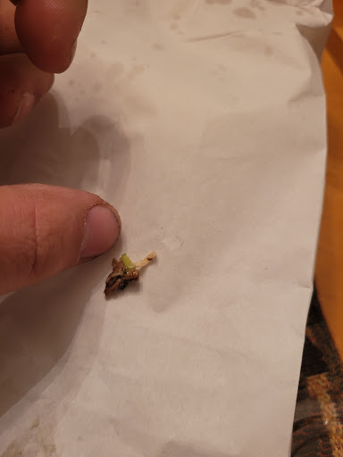 Photo of Surcheros - Tifton, GA - 133 S Virginia Ave, Tifton, GA 31794