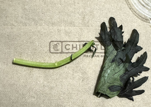 Photo of Chipotle Mexican Grill - 2040 SW Wanamaker Rd, Topeka, KS 66604