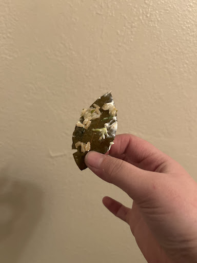 Photo of Chipotle Mexican Grill - 2040 SW Wanamaker Rd, Topeka, KS 66604