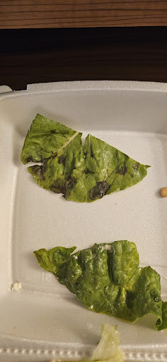 Photo of Opa! Grill & Taproom - 2658 Crossing Cir, Traverse City, MI 49684