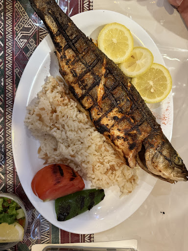 Photo of Aria Persian Cuisine & Turkish Grille - 272 Melwood Ave, Pittsburgh, PA 15213