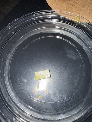 Photo of Hummus Republic (North Scottsdale) - 16211 N Scottsdale Rd suite a-5, Scottsdale, AZ 85254