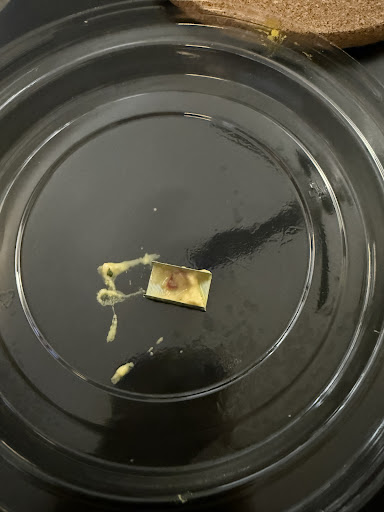 Photo of Hummus Republic (North Scottsdale) - 16211 N Scottsdale Rd suite a-5, Scottsdale, AZ 85254