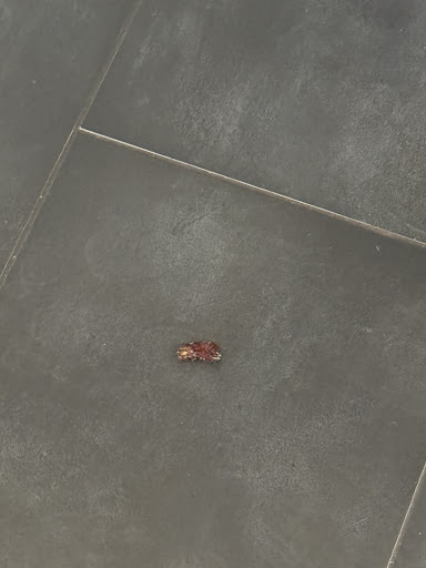 Photo of mezeh - 8101 Tysons Corner Center Space J18U, Tysons, VA 22182