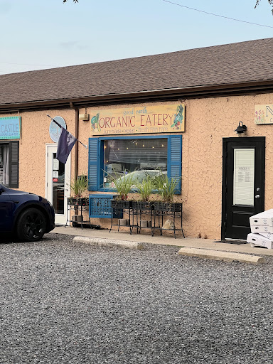 Photo of Good Earth Organic Eatery - 600 Park Blvd, West Cape May, NJ 08204