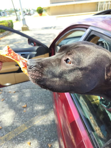 Photo of Jersey's Fried Chicken & Pizza - 508 E Landis Ave, Vineland, NJ 08360