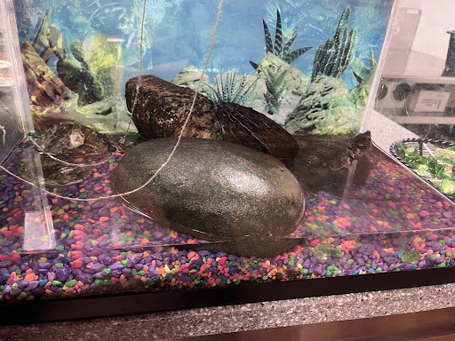 Photo of Ninja Express - 1010 Cass St, Wabash, IN 46992