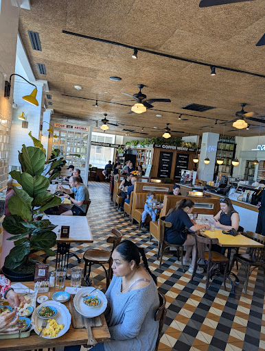 Photo of Cafe Landwer - 383 Chestnut Hill Ave, Boston, MA 02135