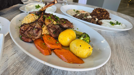 Photo of Aladdin Castle Mediterranean Cuisine - 7231 Chicago Rd, Warren, MI 48092