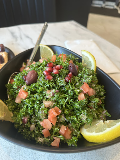 Photo of Saj Alreef Restaurant - 4100 Metro Pkwy, Sterling Heights, MI 48310