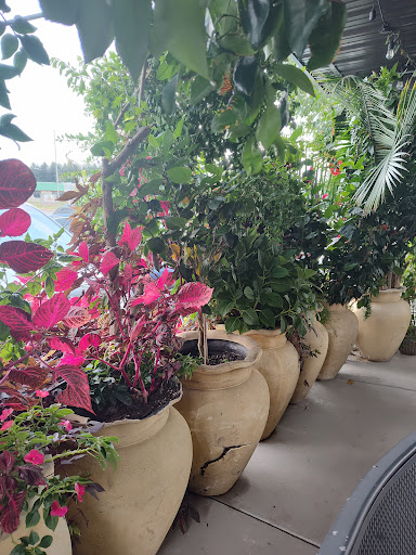 Photo of Zenobia Cuisine & Bar - 584 E Main St, Canfield, OH 44406