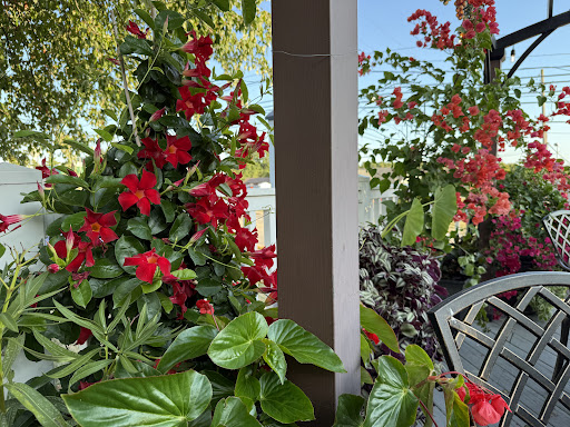 Photo of Zenobia Cuisine & Bar - 584 E Main St, Canfield, OH 44406