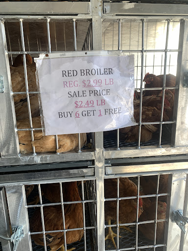 Photo of CT Halal Live Poultry and Meat Market - 113 Homer St, Waterbury, CT 06704