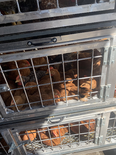 Photo of CT Halal Live Poultry and Meat Market - 113 Homer St, Waterbury, CT 06704