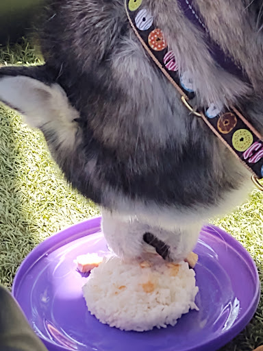 Photo of The Side Lot - 110 Slocum Lake Rd, Wauconda, IL 60084