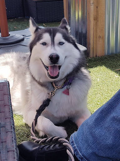 Photo of The Side Lot - 110 Slocum Lake Rd, Wauconda, IL 60084