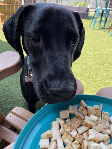 Photo of The Side Lot - 110 Slocum Lake Rd, Wauconda, IL 60084