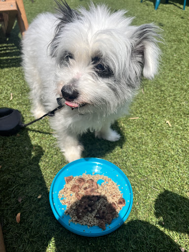 Photo of The Side Lot - 110 Slocum Lake Rd, Wauconda, IL 60084